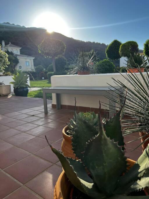 Ruim Appartement, Zonnig Terras, Alhaurin Golf! Alhaurín el Grande Kültér fotó